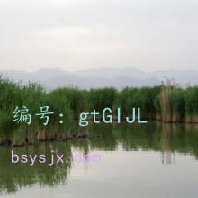ǰ